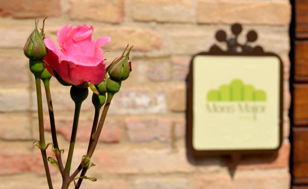 Mons Major Relais Vila Montemaggiore al Metauro Exterior foto
